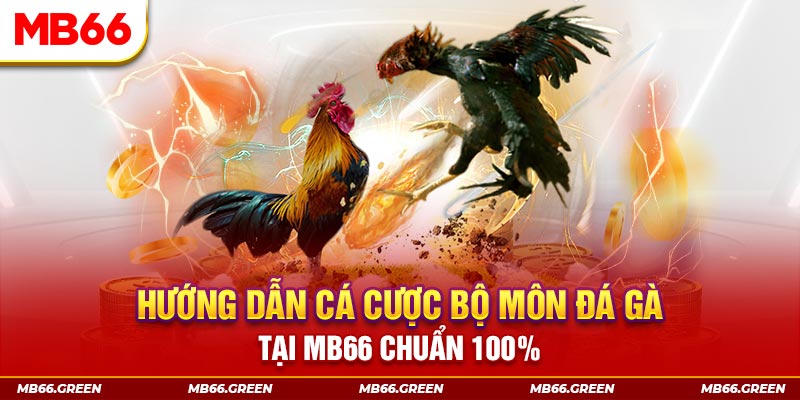 68 win xổ số bình định