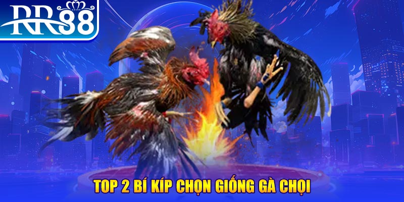 đăng nhập roulette dễ thắng