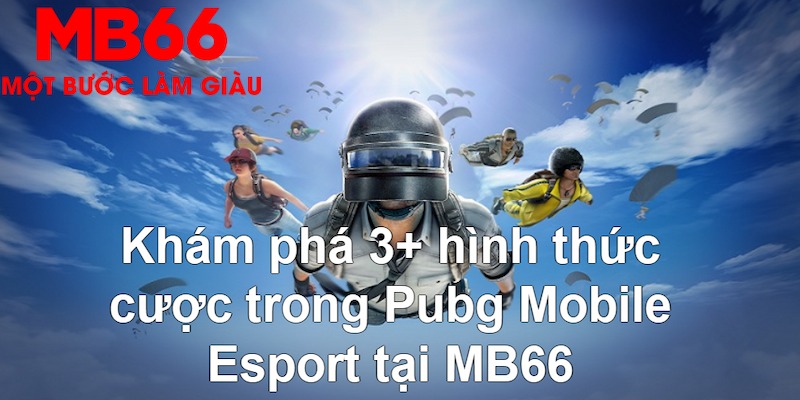 68 win so xo