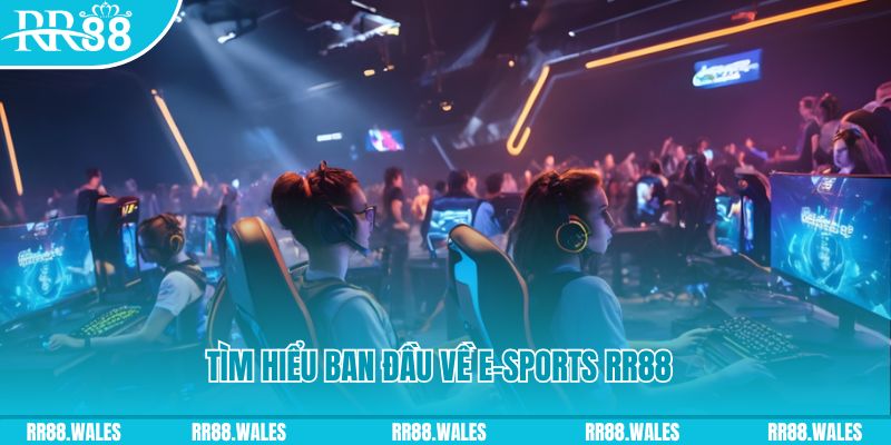 68 win Đĩa màu ace
