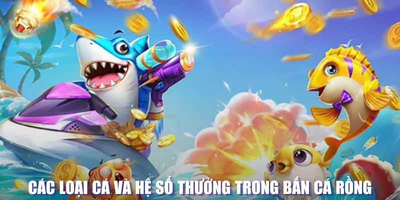 68 win loi game dot kich ket noi may chu that bai