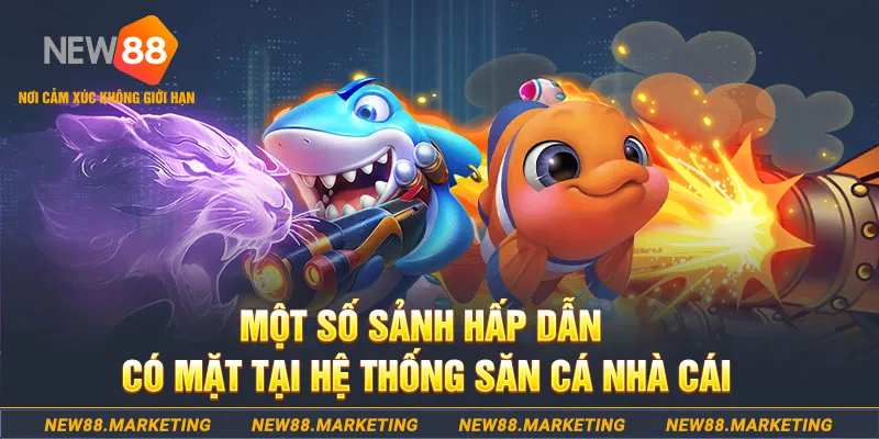 68 win đăng nhập sòng bạc 2025