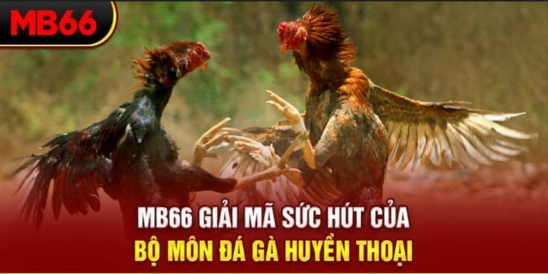 68 win Phi Đội Ưu Tú