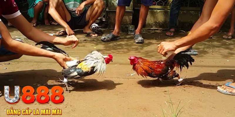 68 win đăng nhập mậu binh rút tiền nhanh