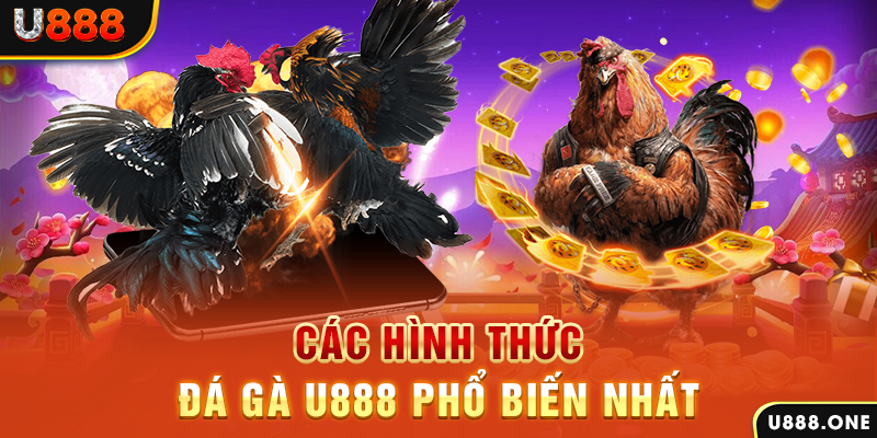 68 win DB Trực Tuyến