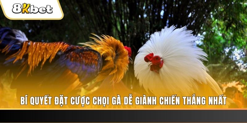 68 win Tài Xỉu 2
