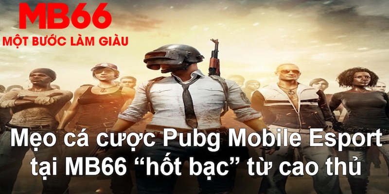 68 win gà chọi mộc hóa