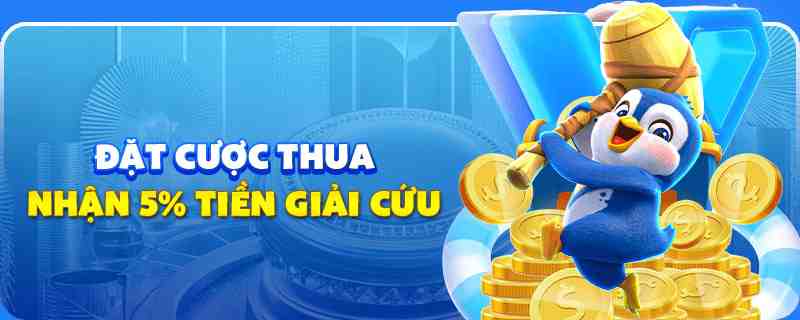 68 win gà chọi cu cần