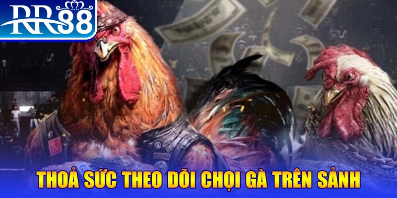 68 win đá gà 88.com